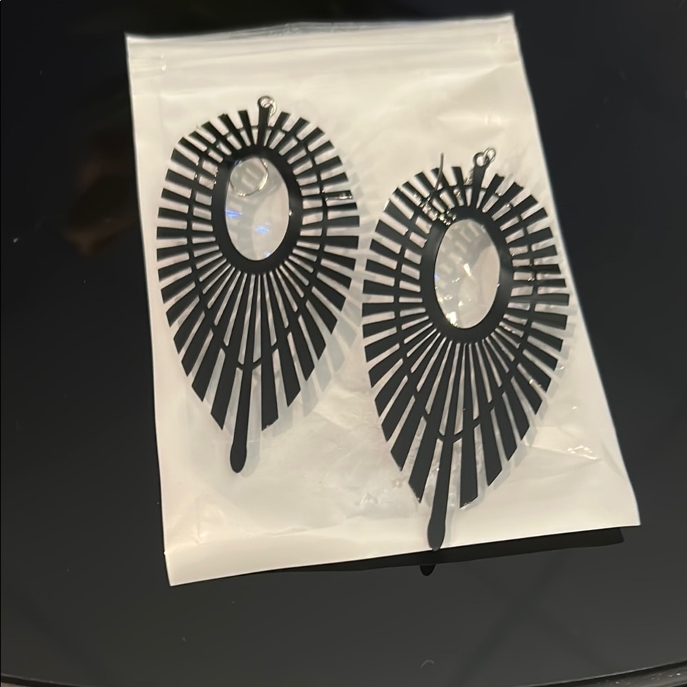 Elegant Black and Silver Earrings